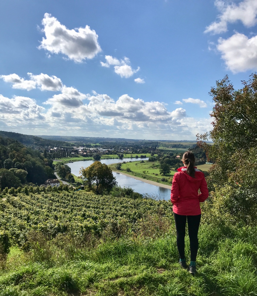 Der Sächsische Weinwanderweg